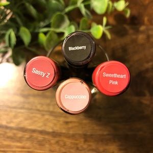 4 LipSense Colors